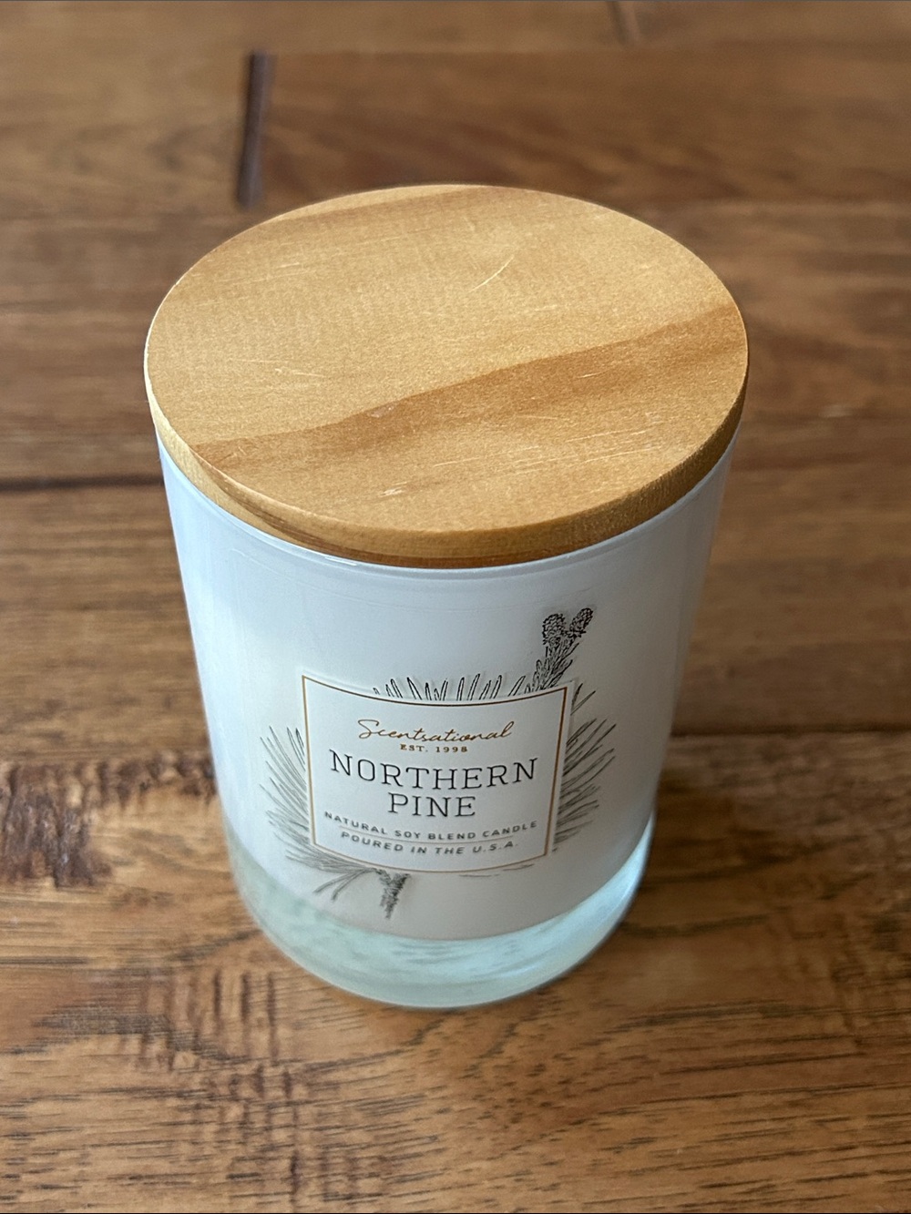 Scentsational Northern Pine Natural Soy Blend Candle White 11 Oz Made in USA New